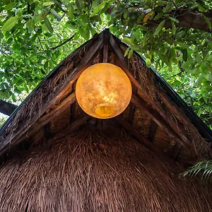 https://blue-parrot-fifth-avenue.allrivieramayahotels.com